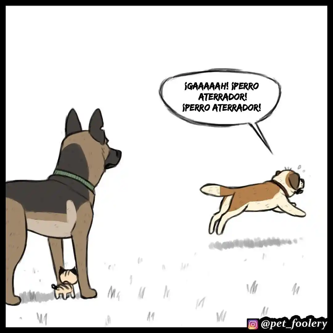 Pixie And Brutus - Capítulo 25 - Página 6 - LectorTMOo