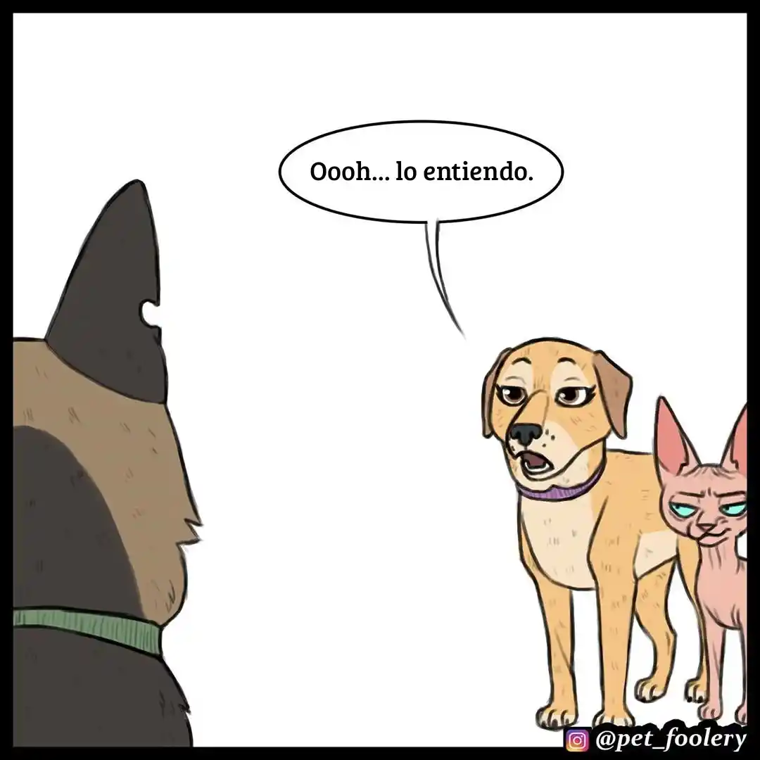 Pixie And Brutus - Capítulo 28 - Página 6 - LectorTMOo