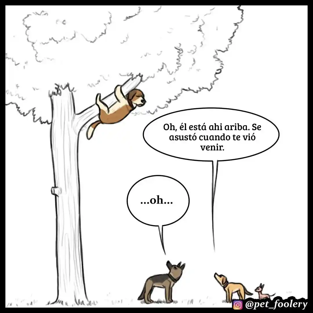 Pixie And Brutus - Capítulo 28 - Página 8 - LectorTMOo