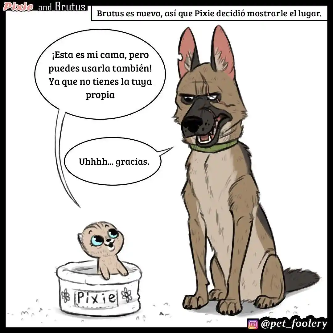 Pixie And Brutus - Capítulo 3 - Página 1 - LectorTMOo