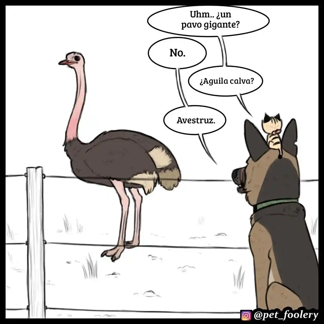Pixie And Brutus - Capítulo 31 - Página 1 - LectorTMOo