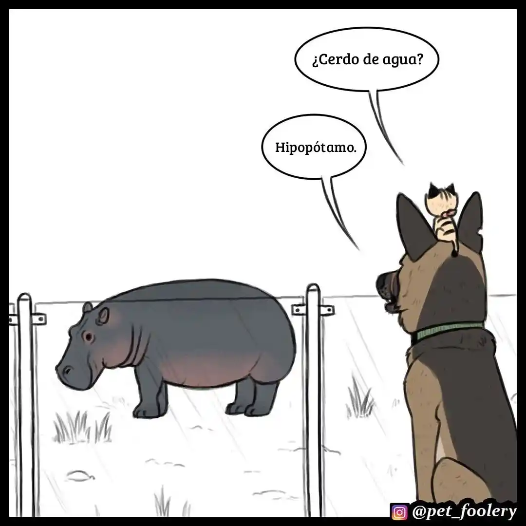 Pixie And Brutus - Capítulo 31 - Página 3 - LectorTMOo
