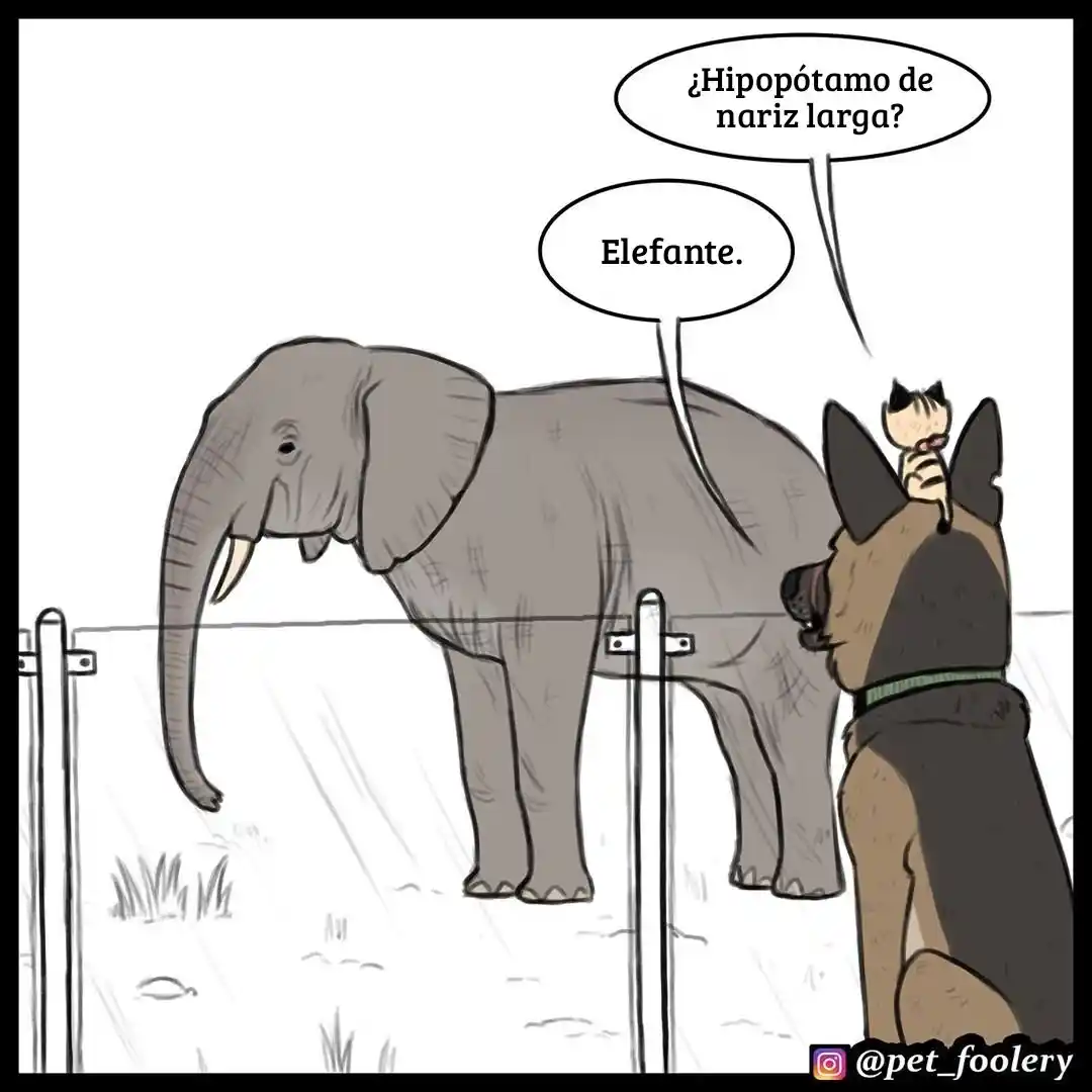 Pixie And Brutus - Capítulo 31 - Página 5 - LectorTMOo