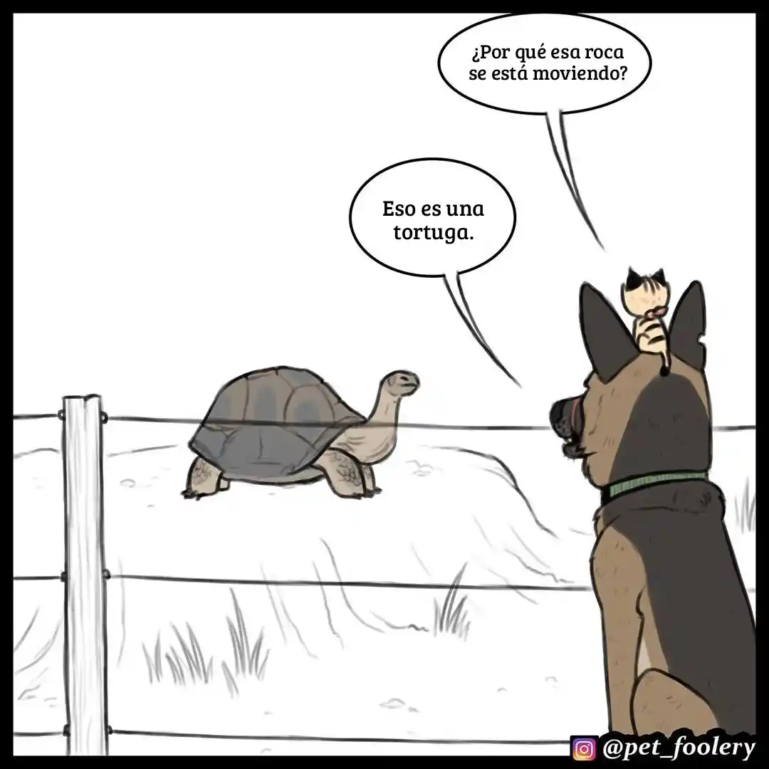 Pixie And Brutus - Capítulo 31 - Página 6 - LectorTMOo