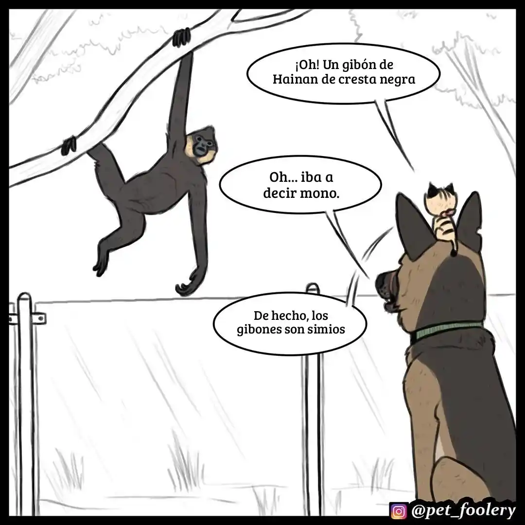 Pixie And Brutus - Capítulo 31 - Página 7 - LectorTMOo