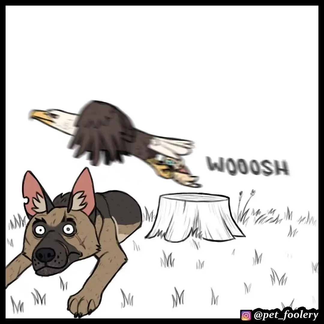 Pixie And Brutus - Capítulo 32 - Página 4 - LectorTMOo