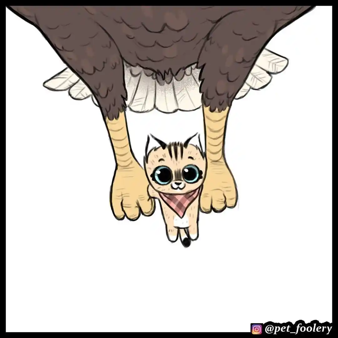 Pixie And Brutus - Capítulo 33 - Página 5 - LectorTMOo