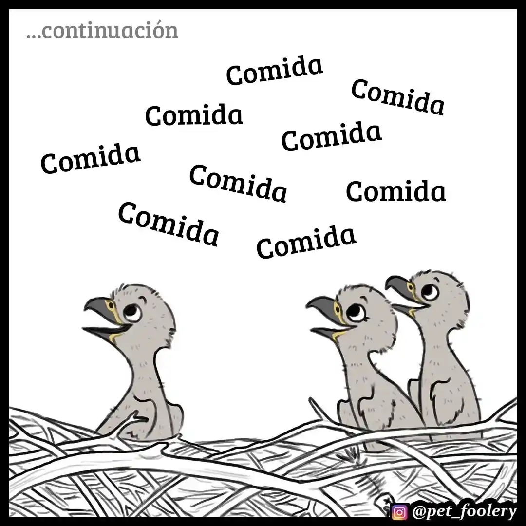 Pixie And Brutus - Capítulo 34 - Página 1 - LectorTMOo