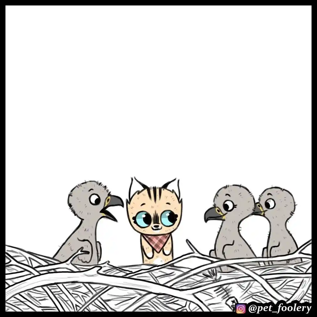 Pixie And Brutus - Capítulo 34 - Página 5 - LectorTMOo