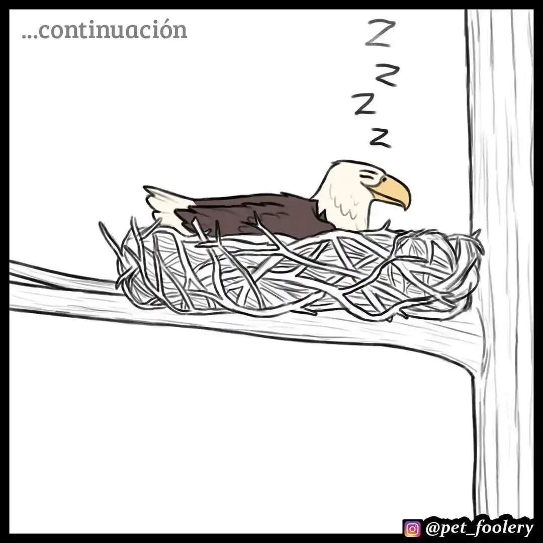 Pixie And Brutus - Capítulo 35 - Página 1 - LectorTMOo