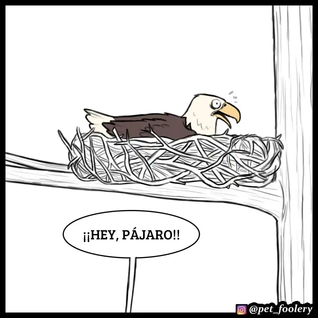 Pixie And Brutus - Capítulo 35 - Página 2 - LectorTMOo