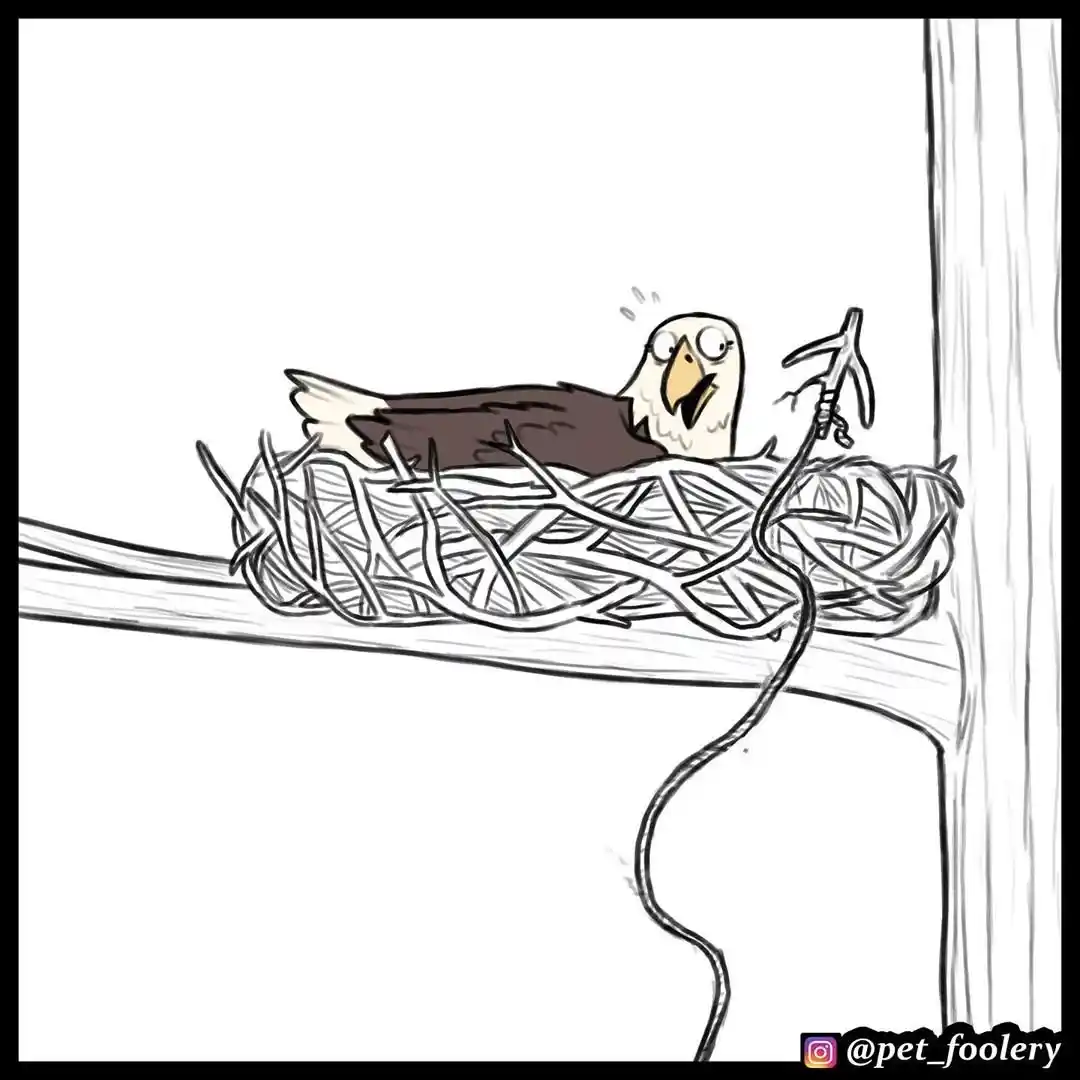 Pixie And Brutus - Capítulo 35 - Página 6 - LectorTMOo