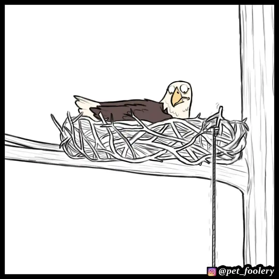Pixie And Brutus - Capítulo 35 - Página 7 - LectorTMOo