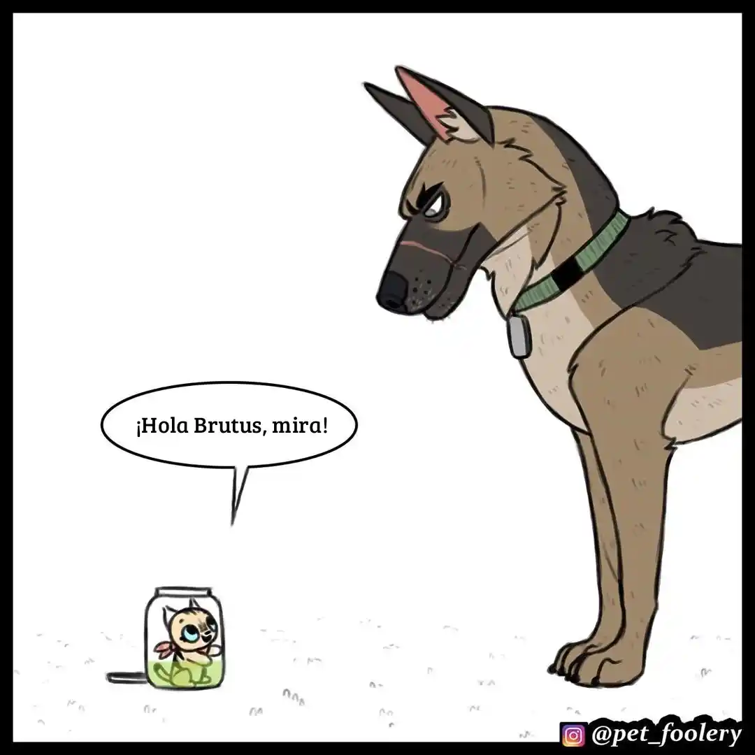 Pixie And Brutus - Capítulo 36 - Página 1 - LectorTMOo