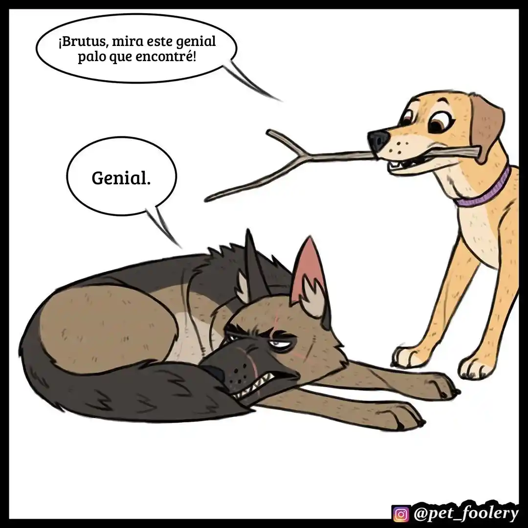Pixie And Brutus - Capítulo 38 - Página 2 - LectorTMOo