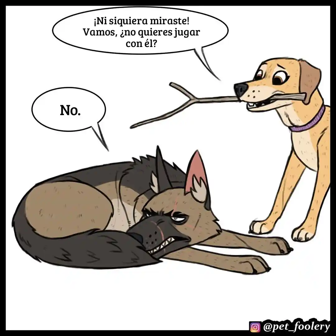 Pixie And Brutus - Capítulo 38 - Página 3 - LectorTMOo
