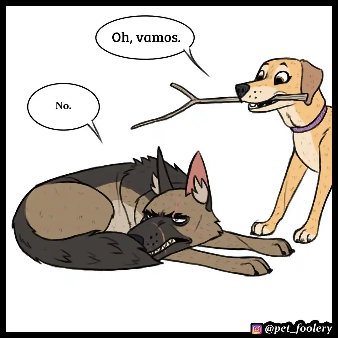 Pixie And Brutus - Capítulo 38 - Página 4 - LectorTMOo