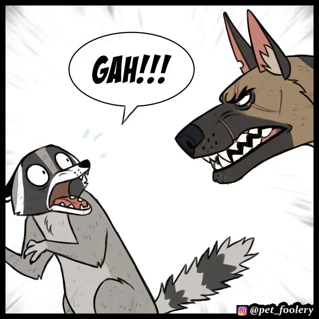Pixie And Brutus - Capítulo 43 - Página 3 - LectorTMOo