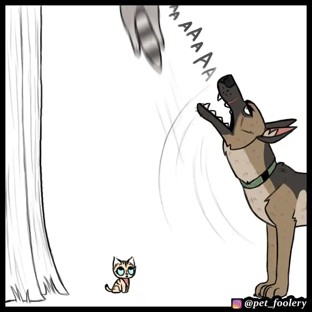 Pixie And Brutus - Capítulo 44 - Página 5 - LectorTMOo