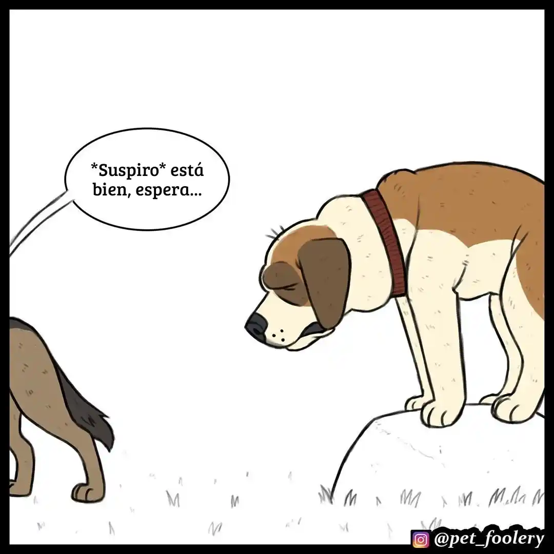 Pixie And Brutus - Capítulo 45 - Página 3 - LectorTMOo