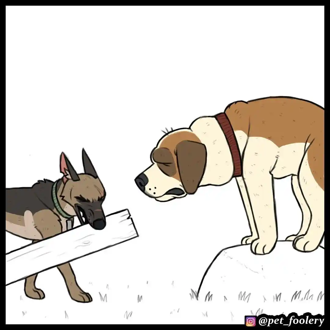 Pixie And Brutus - Capítulo 45 - Página 5 - LectorTMOo