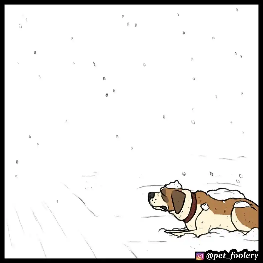 Pixie And Brutus - Capítulo 46 - Página 3 - LectorTMOo