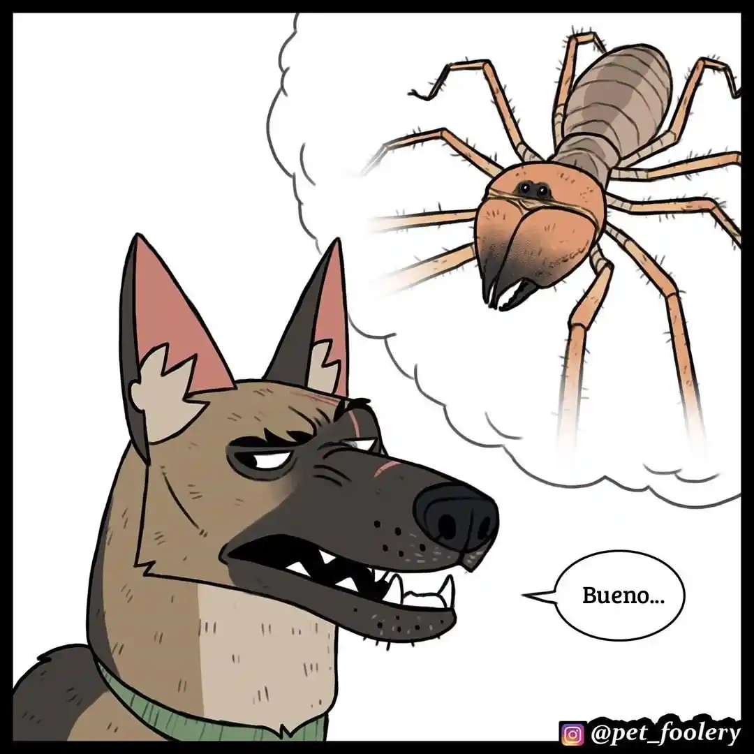 Pixie And Brutus - Capítulo 48 - Página 4 - LectorTMOo
