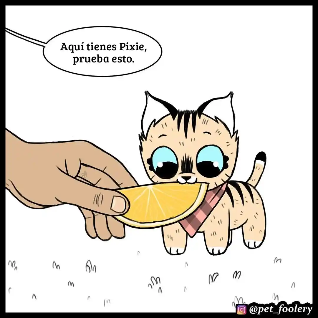 Pixie And Brutus - Capítulo 49 - Página 1 - LectorTMOo
