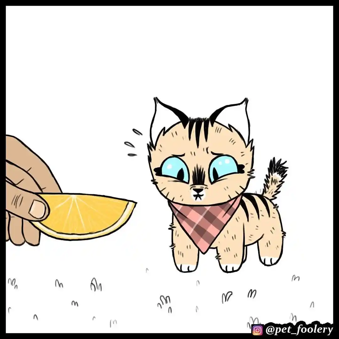 Pixie And Brutus - Capítulo 49 - Página 2 - LectorTMOo