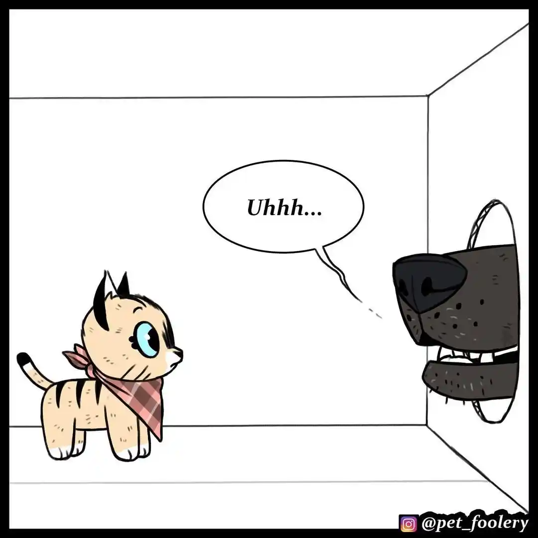 Pixie And Brutus - Capítulo 51 - Página 6 - LectorTMOo