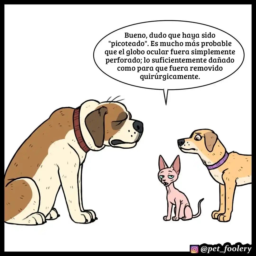 Pixie And Brutus - Capítulo 53 - Página 6 - LectorTMOo