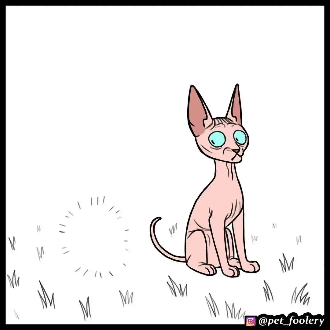 Pixie And Brutus - Capítulo 55 - Página 3 - LectorTMOo
