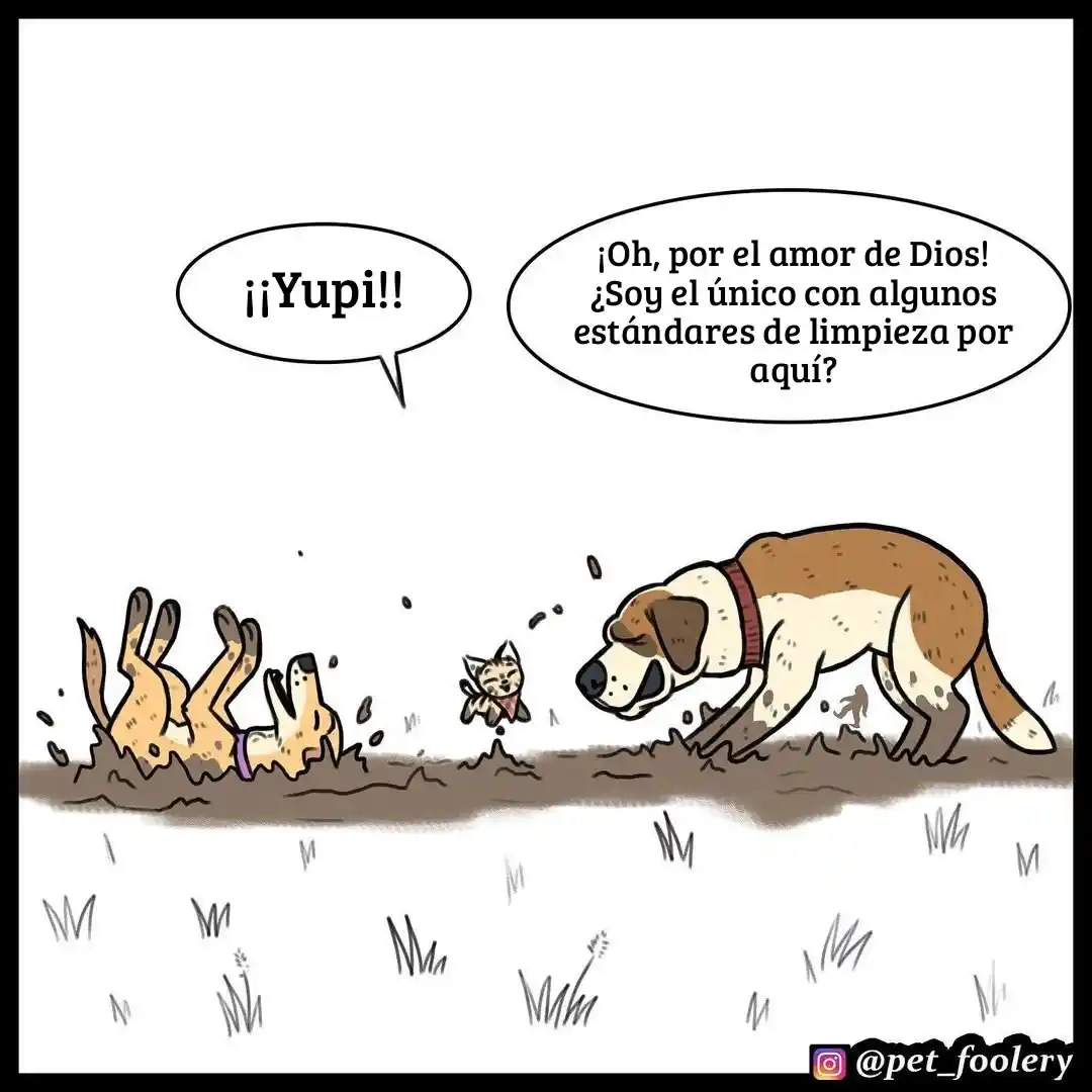 Pixie And Brutus - Capítulo 55 - Página 4 - LectorTMOo