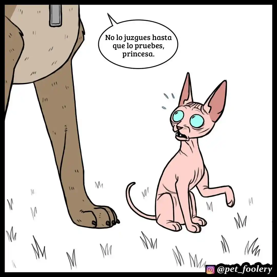 Pixie And Brutus - Capítulo 55 - Página 5 - LectorTMOo