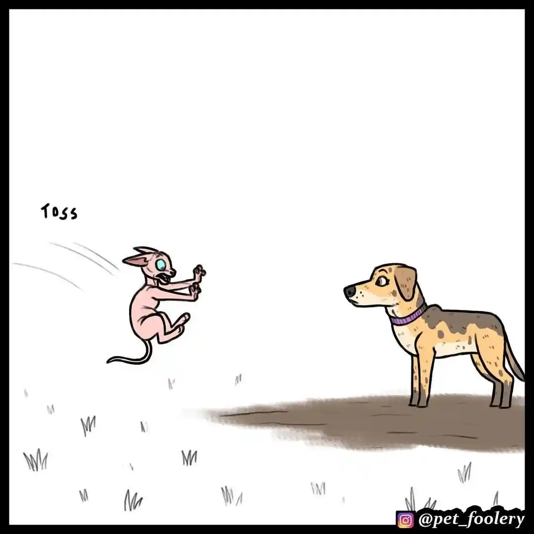 Pixie And Brutus - Capítulo 55 - Página 6 - LectorTMOo