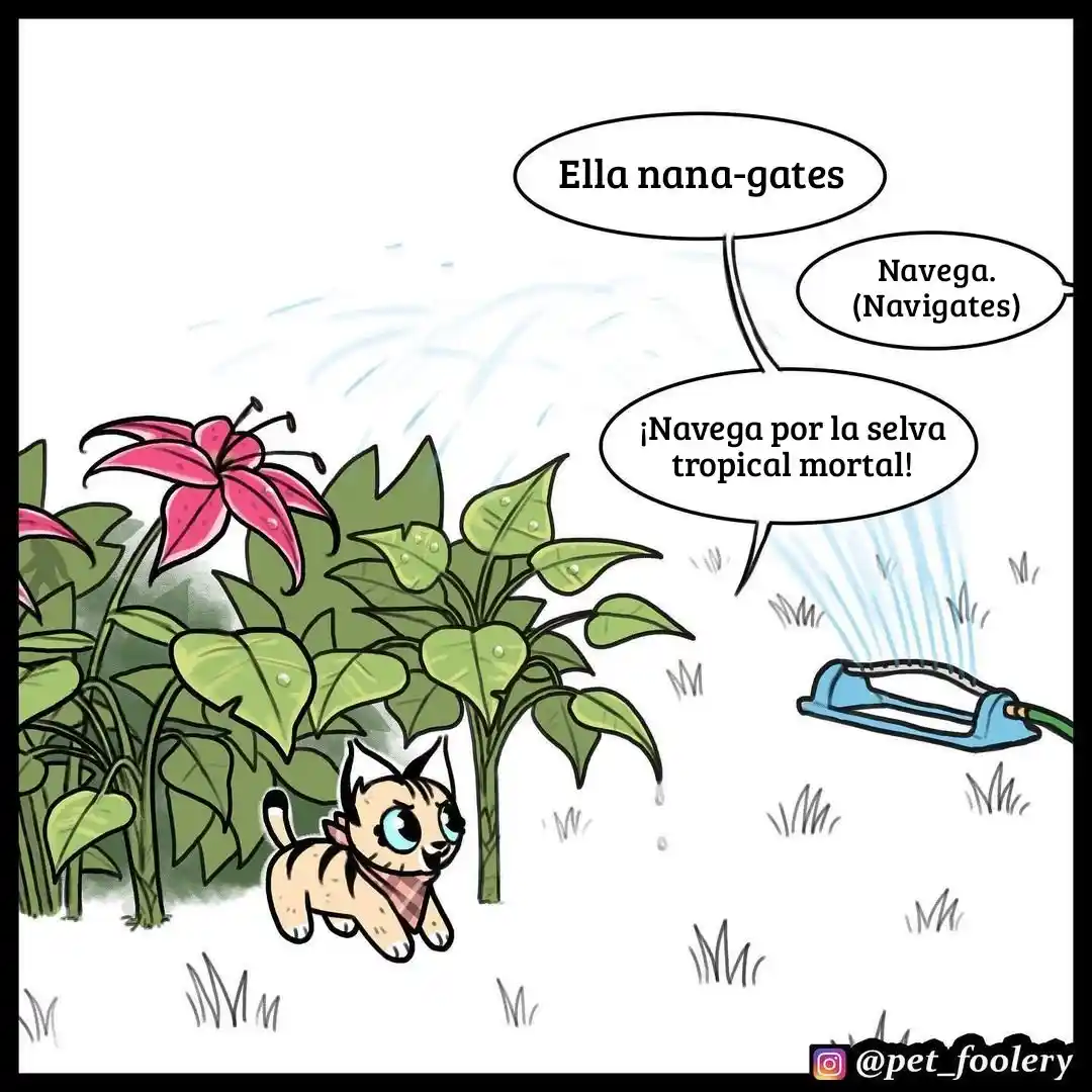 Pixie And Brutus - Capítulo 56 - Página 2 - LectorTMOo