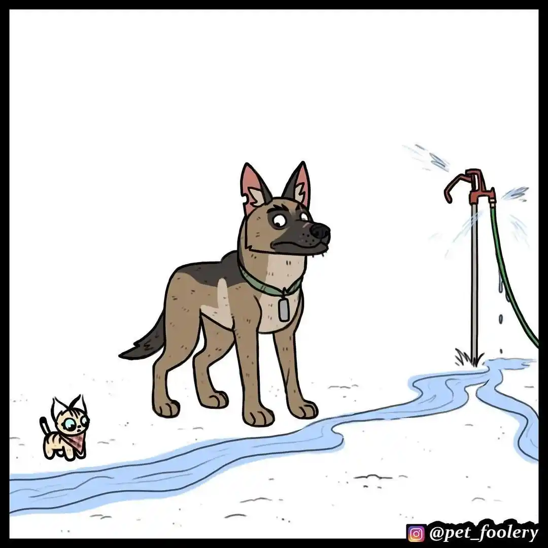 Pixie And Brutus - Capítulo 56 - Página 4 - LectorTMOo