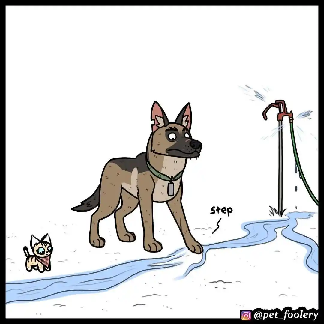 Pixie And Brutus - Capítulo 56 - Página 5 - LectorTMOo