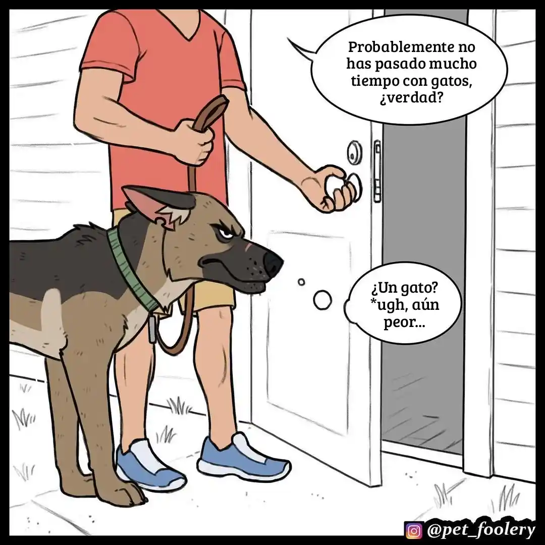 Pixie And Brutus - Capítulo 57 - Página 4 - LectorTMOo