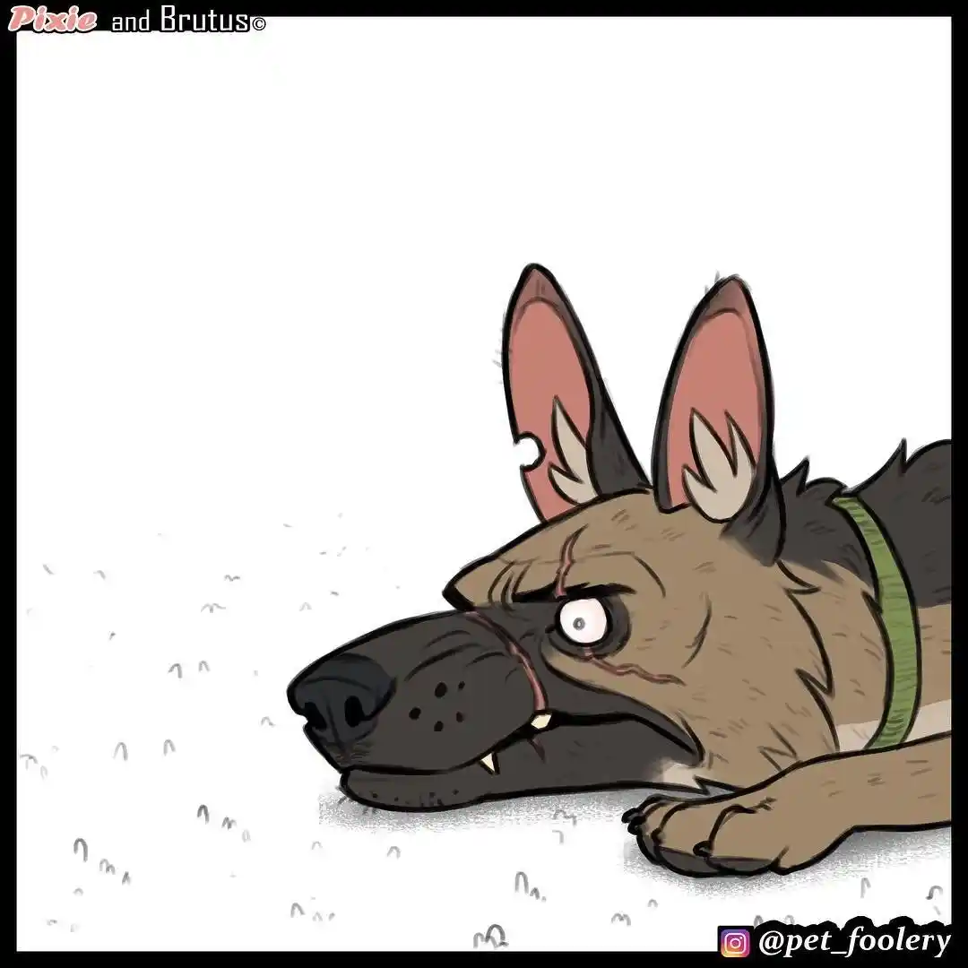 Pixie And Brutus - Capítulo 6 - Página 3 - LectorTMOo