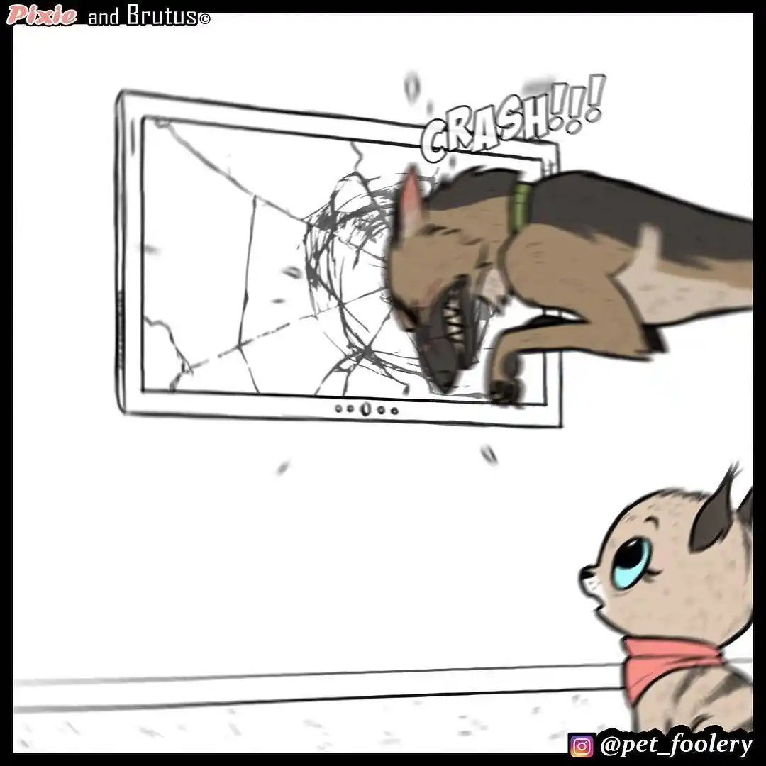 Pixie And Brutus - Capítulo 6 - Página 5 - LectorTMOo