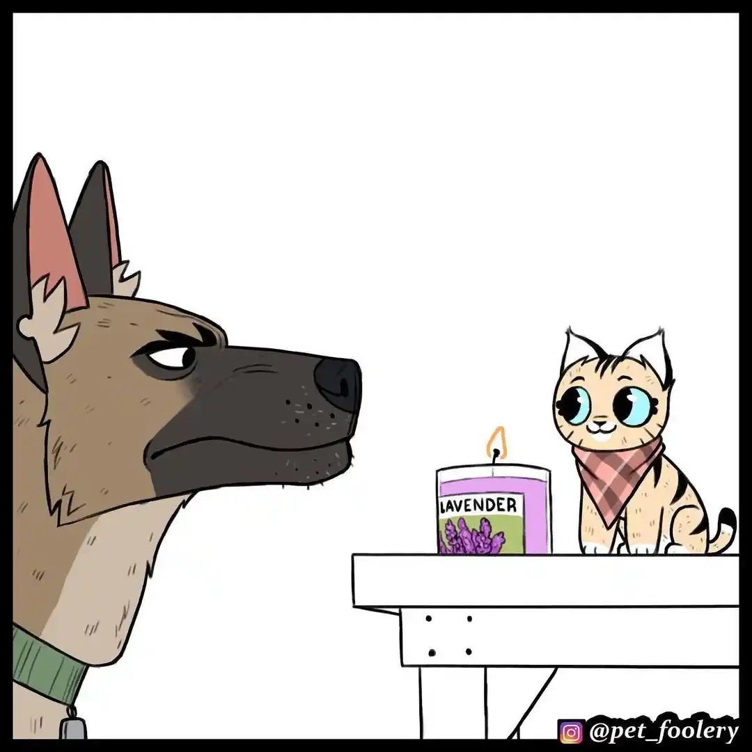 Pixie And Brutus - Capítulo 62 - Página 5 - LectorTMOo