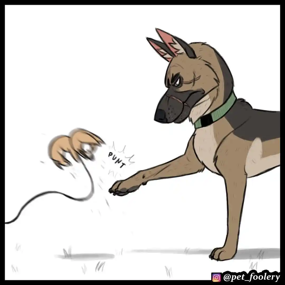Pixie And Brutus - Capítulo 64 - Página 4 - LectorTMOo