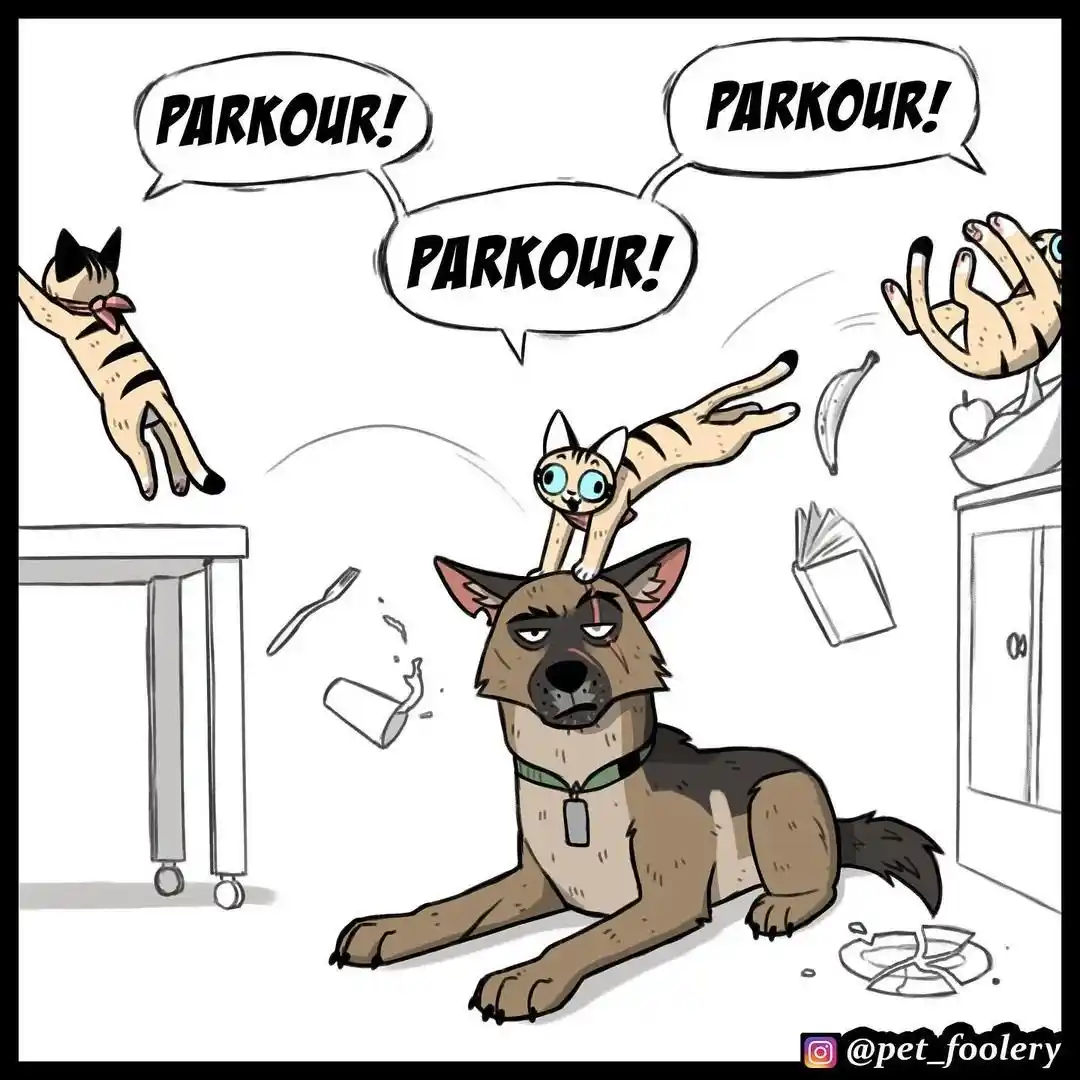 Pixie And Brutus - Capítulo 66 - Página 3 - LectorTMOo