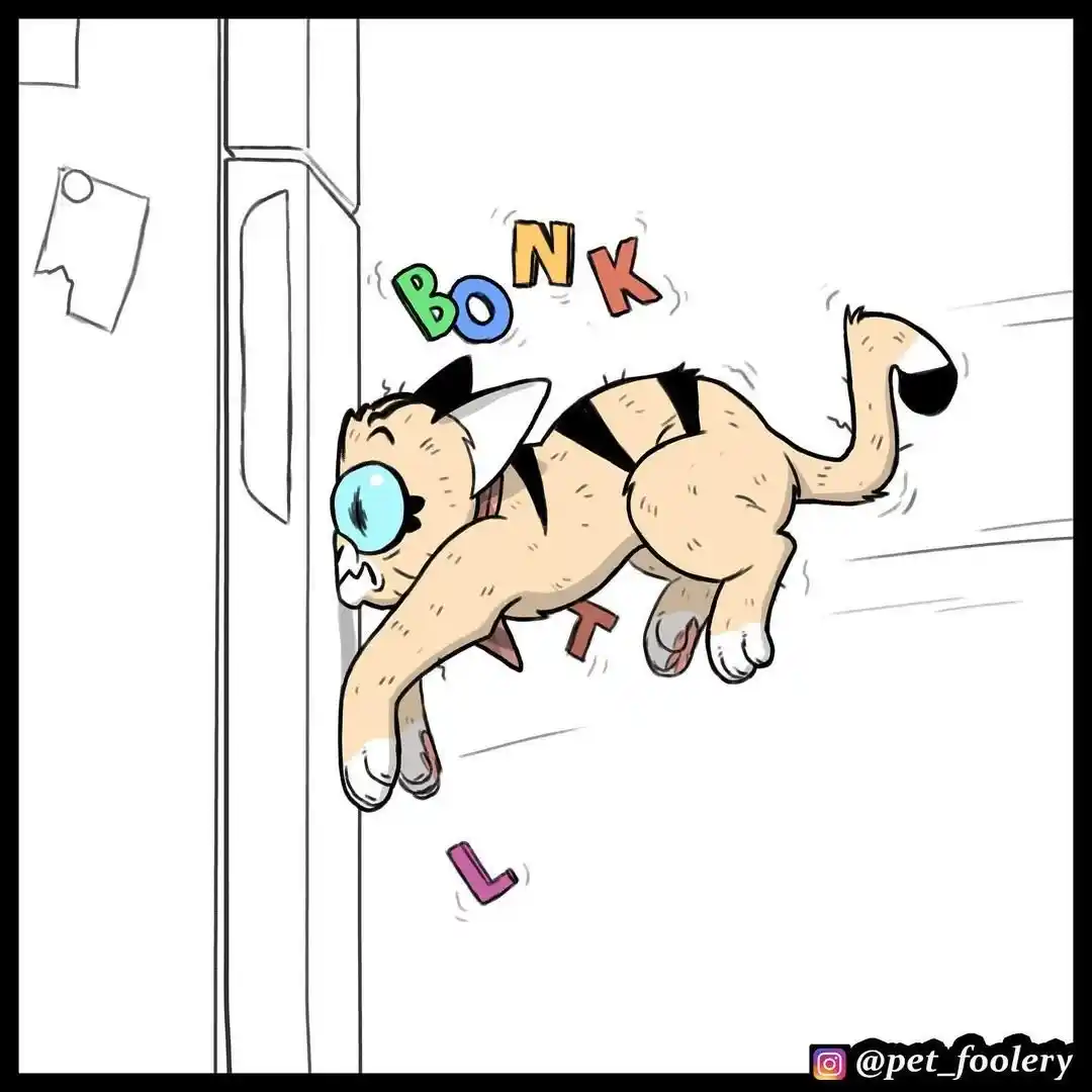 Pixie And Brutus - Capítulo 66 - Página 6 - LectorTMOo