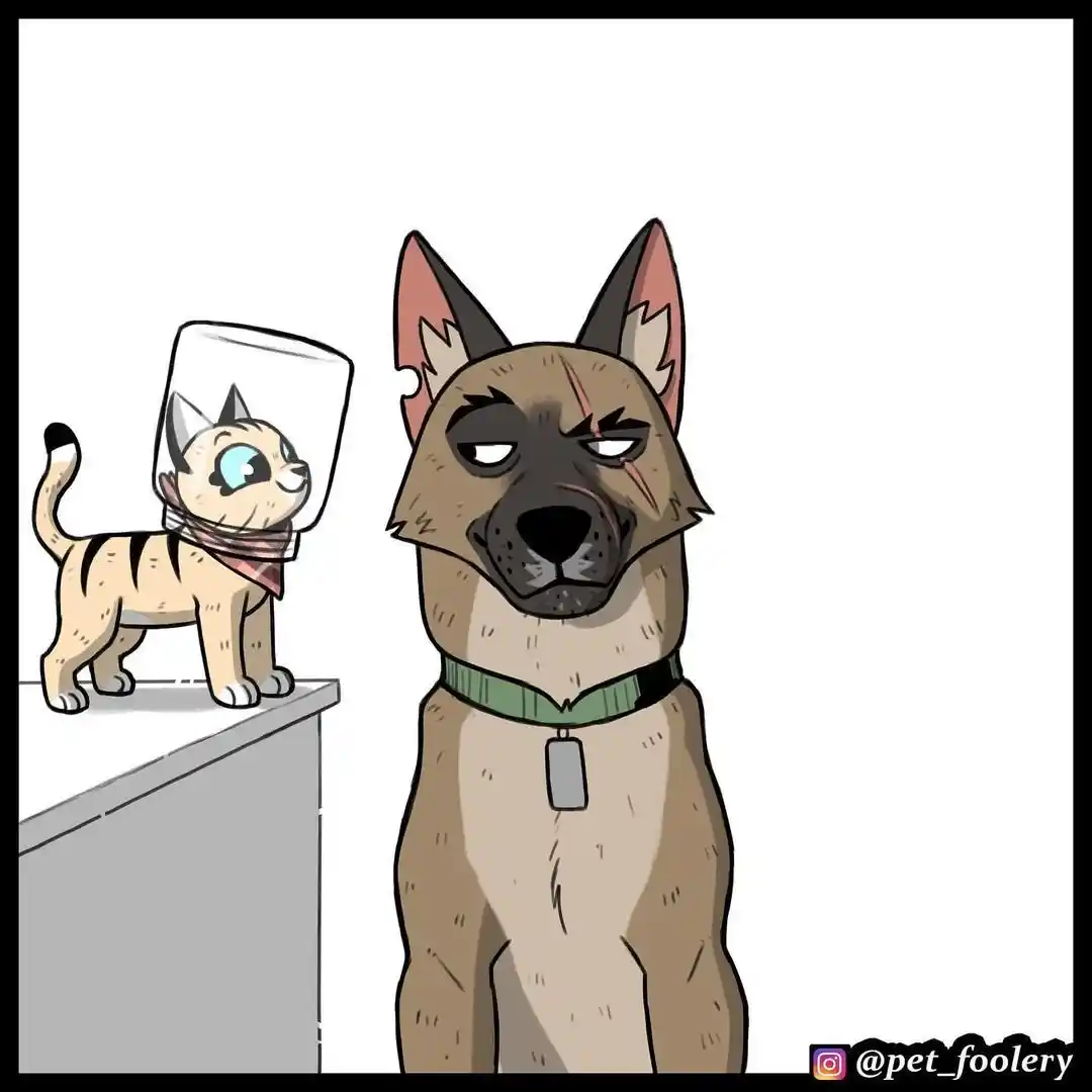 Pixie And Brutus - Capítulo 67 - Página 7 - LectorTMOo