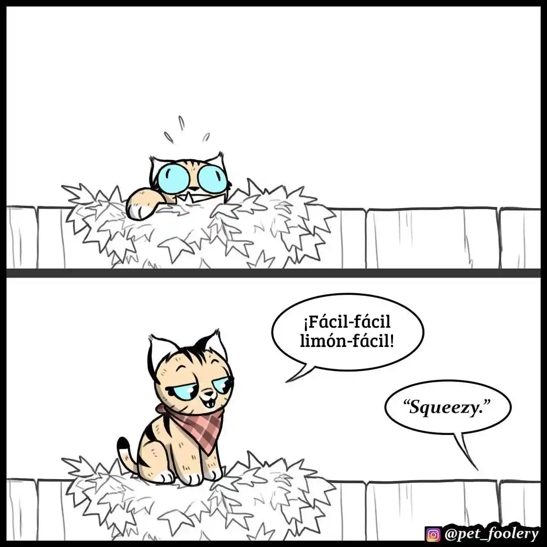 Pixie And Brutus - Capítulo 68 - Página 4 - LectorTMOo
