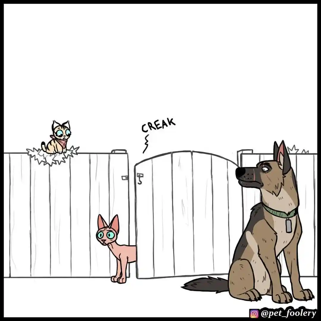 Pixie And Brutus - Capítulo 68 - Página 8 - LectorTMOo