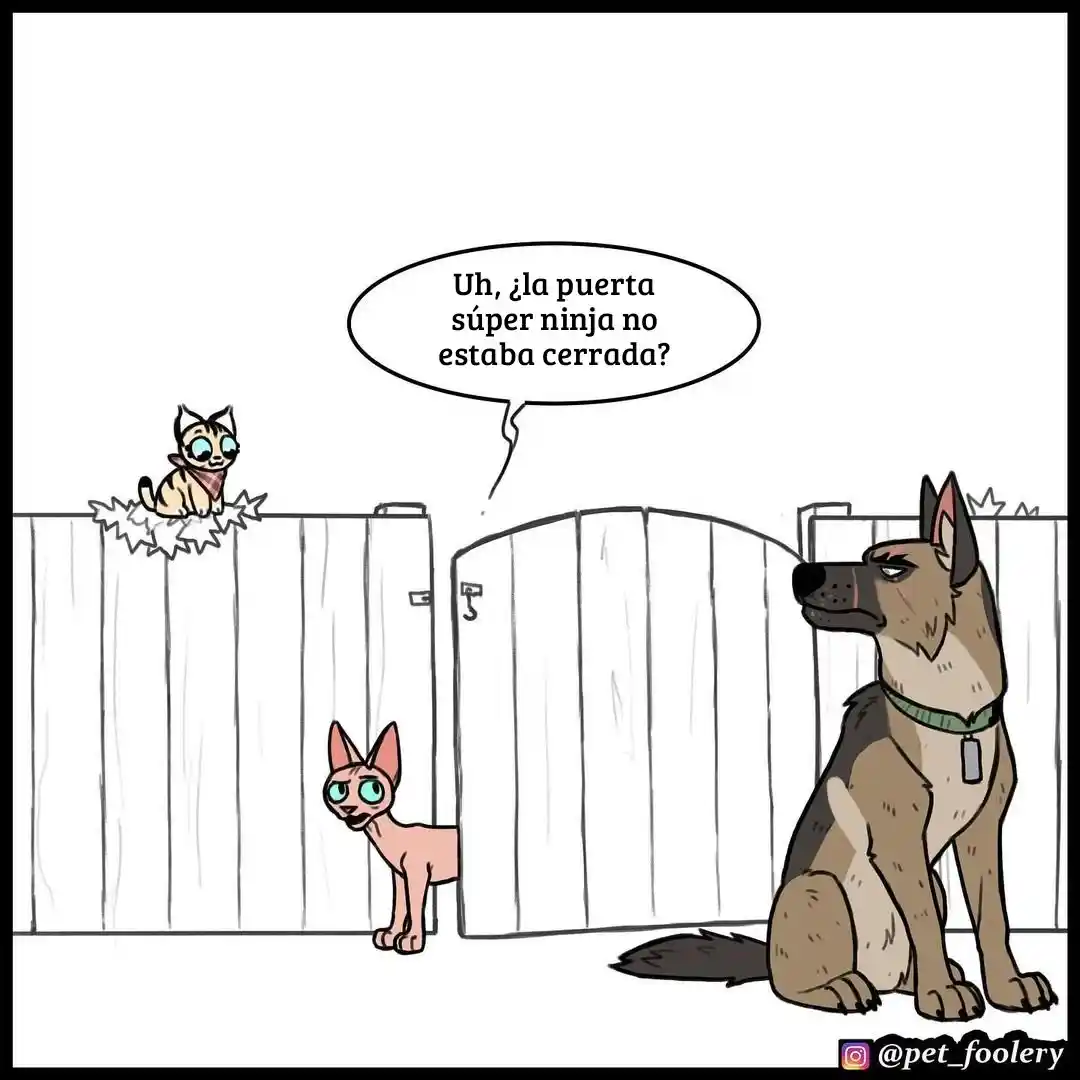 Pixie And Brutus - Capítulo 68 - Página 9 - LectorTMOo