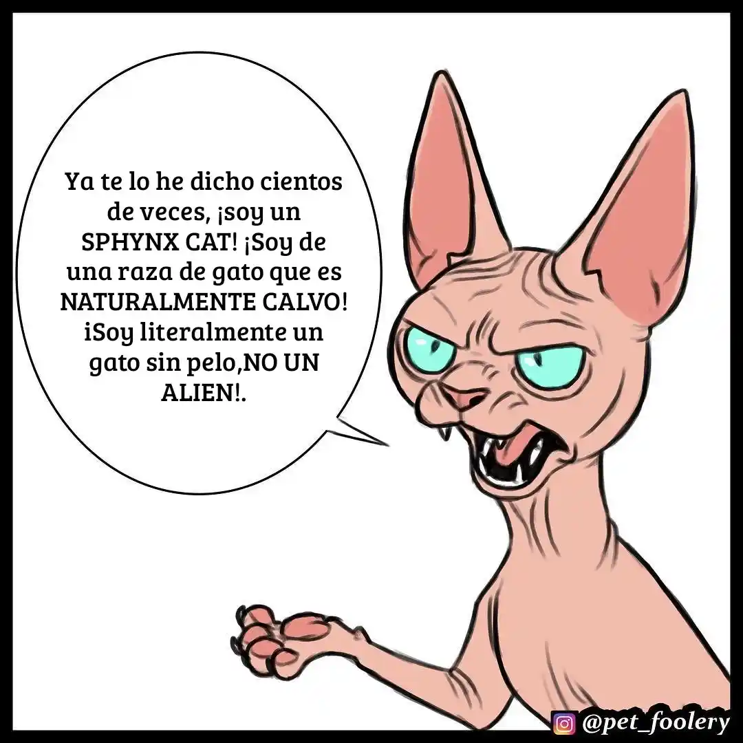 Pixie And Brutus - Capítulo 7 - Página 4 - LectorTMOo